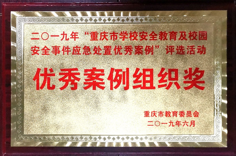 优秀案例组织奖.jpg