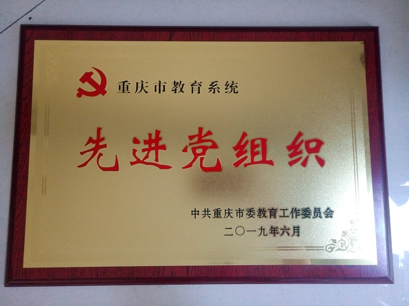 重庆市教育系统先进党组织.jpg